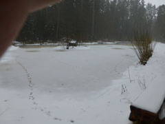 blackforest07