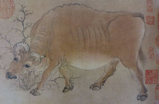 fiveCows