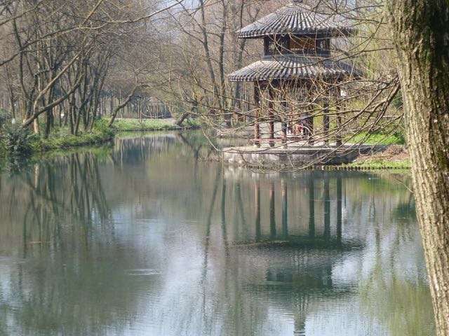 mao10