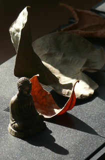 meditation