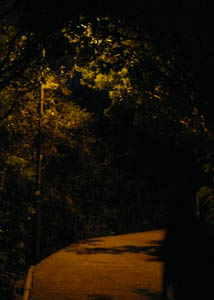 夜行