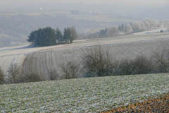 rhine10