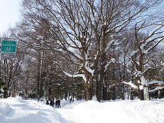 sapporo01