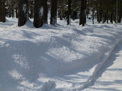 sapporo02