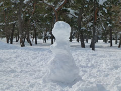 sapporo04