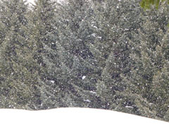 sapporo09