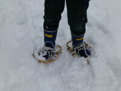 sapporo11