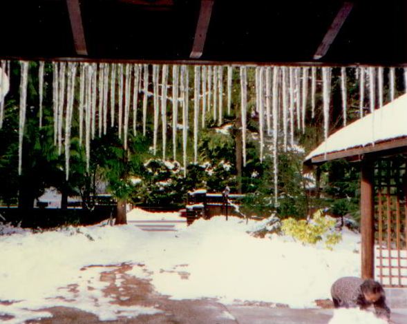 雪