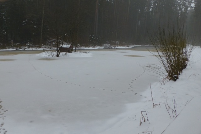 snowlake